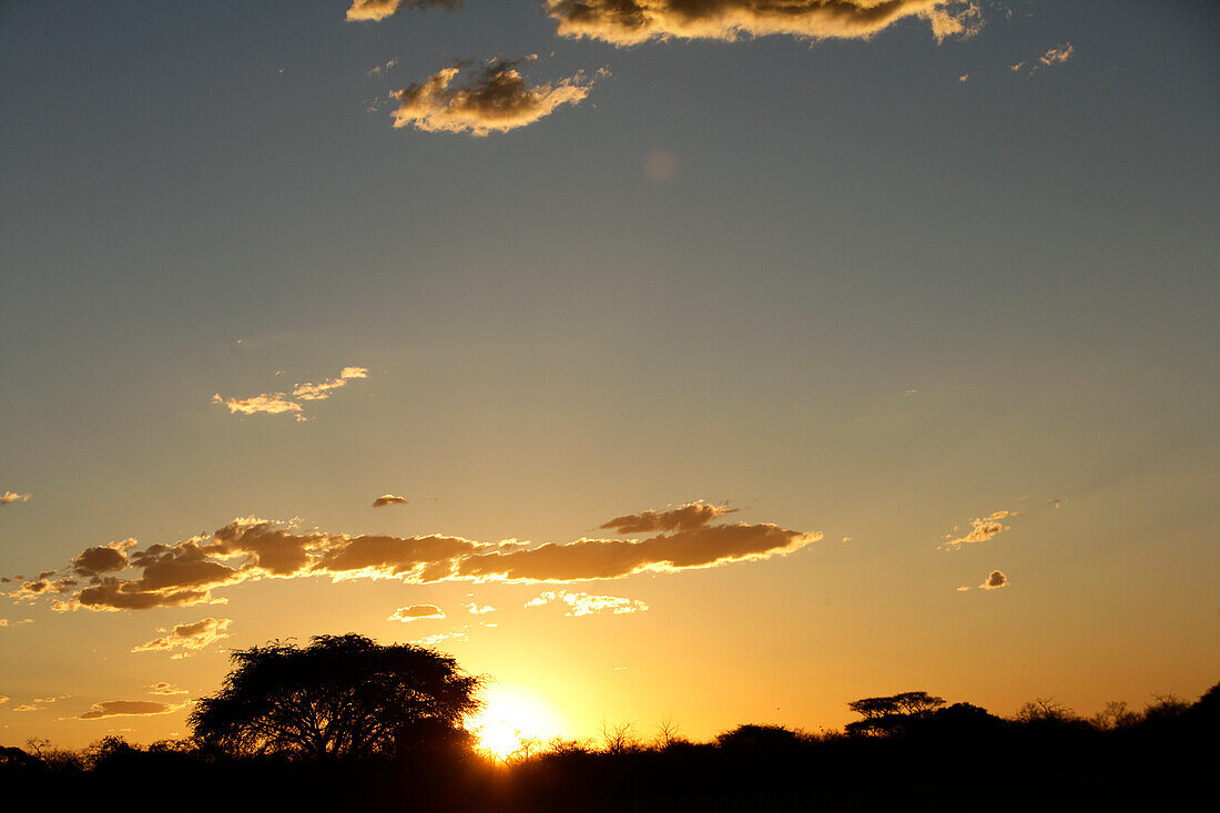 Sonnenuntergang im Etosha-Nationalpark, Kunene-Region, Namibia