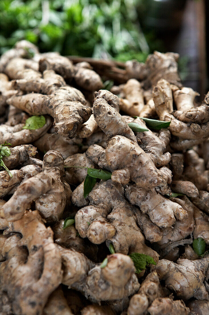 Frischer Ingwer und Curry-Blätter auf dem Markt, Indien