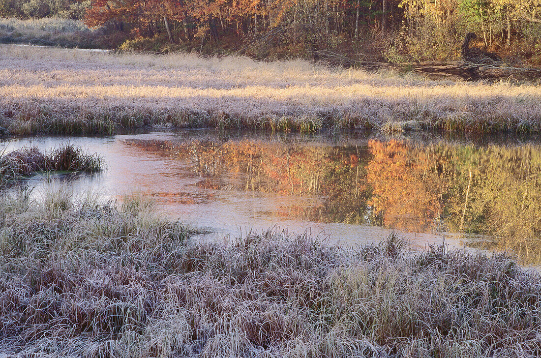 Marsh, Hampton, New Brunswick, Canada