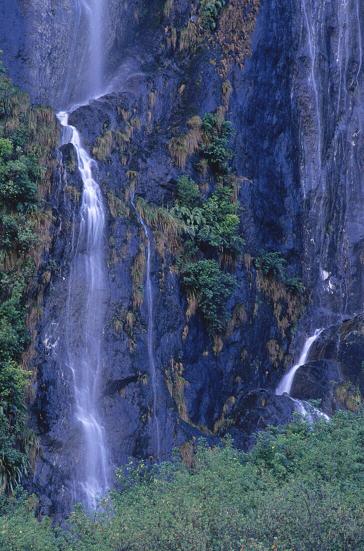 Franz Josef Gletscher, Westland National Park, Südinsel, Neuseeland