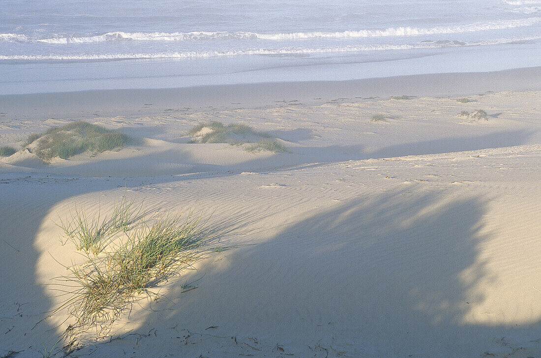 Sand Dunes near Atlantic Ocean, Boulderbaai, Cape Province, South Africa