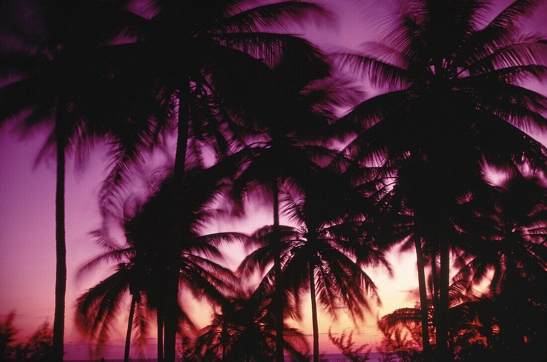 Sonnenaufgang, Insel Eleuthera, Bahamas