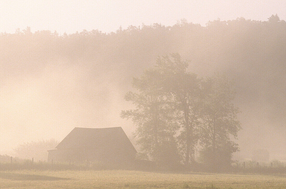 Bauernhof im Morgennebel, Belleisle, New Brunswick, Kanada