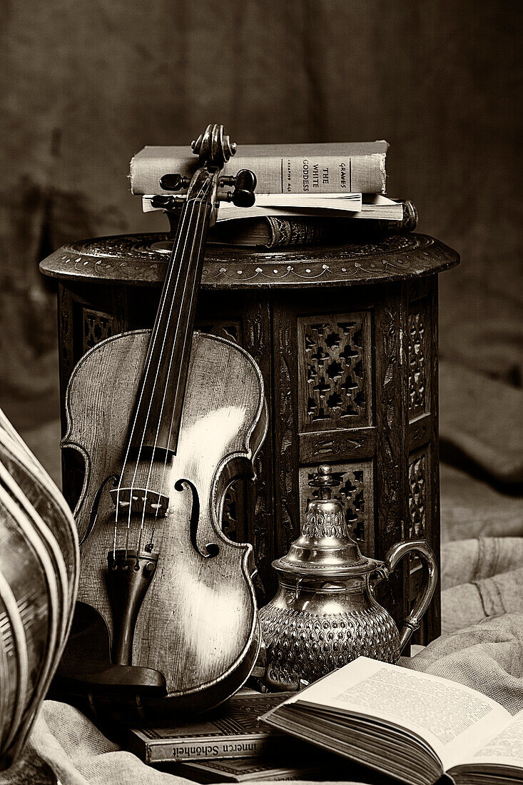 Violine und Bücher, Studioaufnahme in Schwarz-Weiß