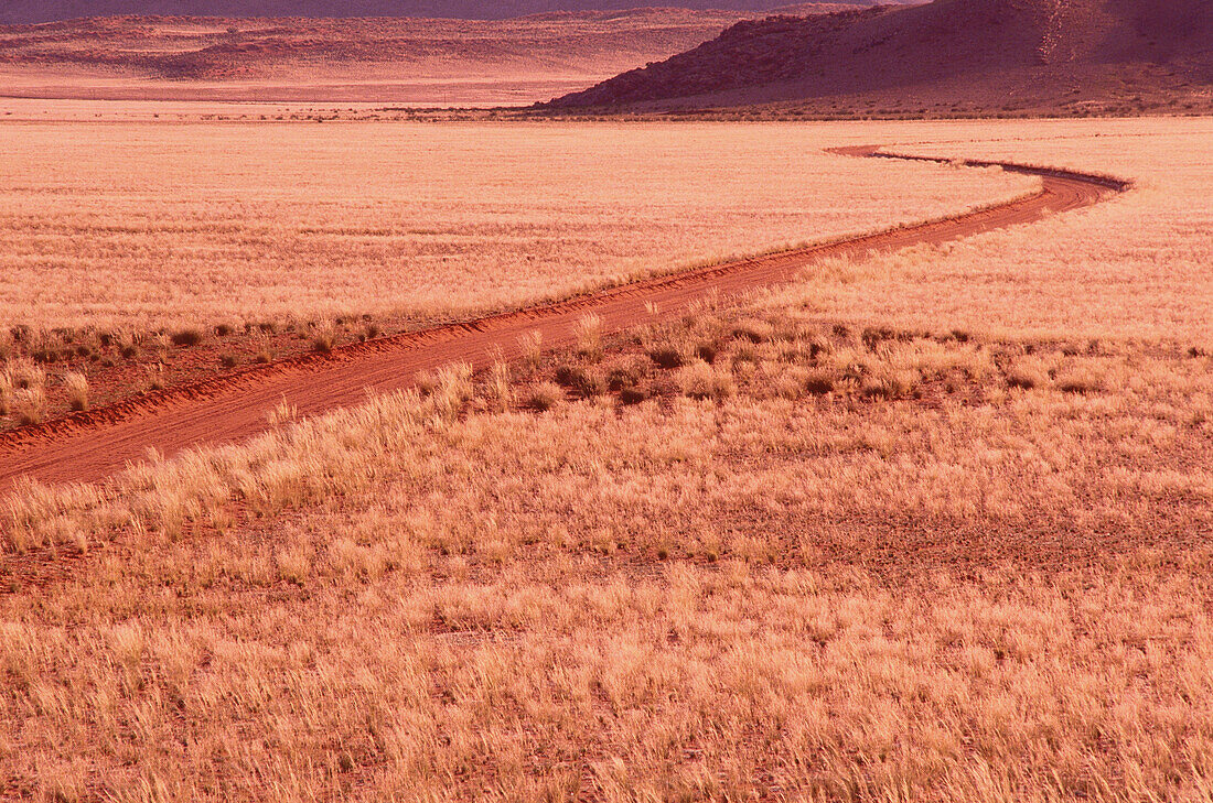 Road Through Grassy Desert, Namaqualand, South Africa