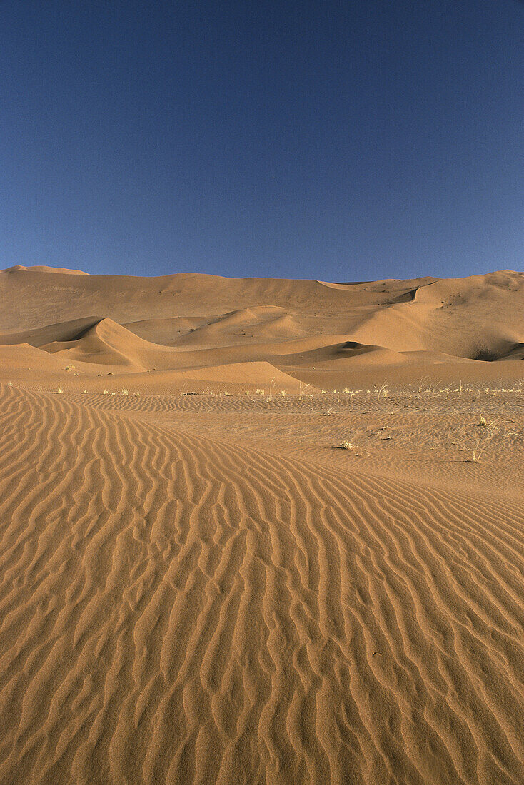 Desert, Namibia