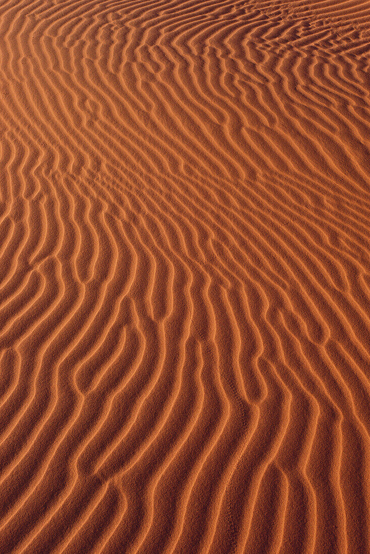 Sand Ripples Namibia