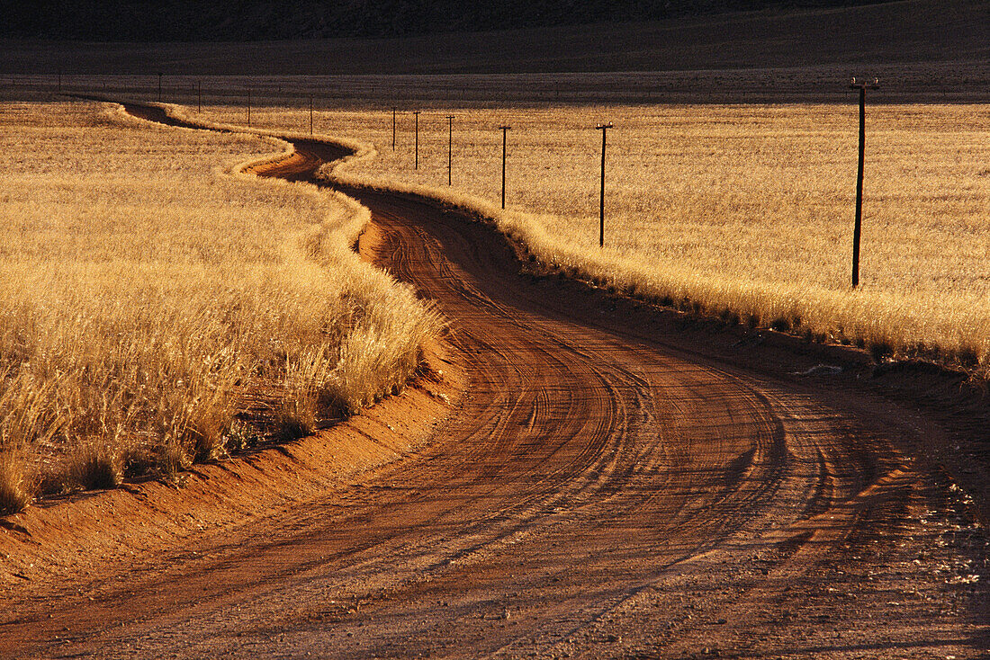 Grassy Desert Namaqualand, Namibia