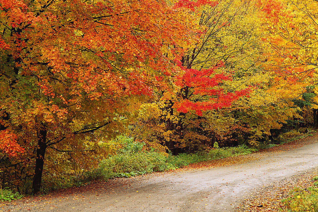 Ketchum Road in Autumn Near Kingston, New Brunswick Canada