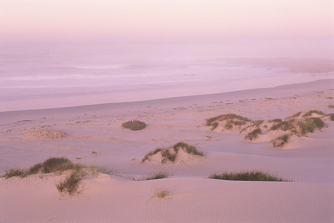 Sand Dunes Near Atlantic Ocean, South Africa