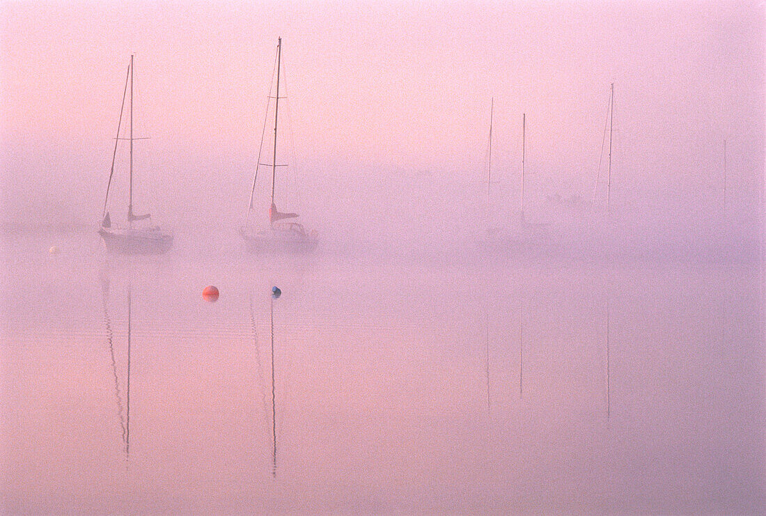 Boote im Nebel bei Sonnenaufgang Saint John River, Gagetown New Brunswick, Kanada