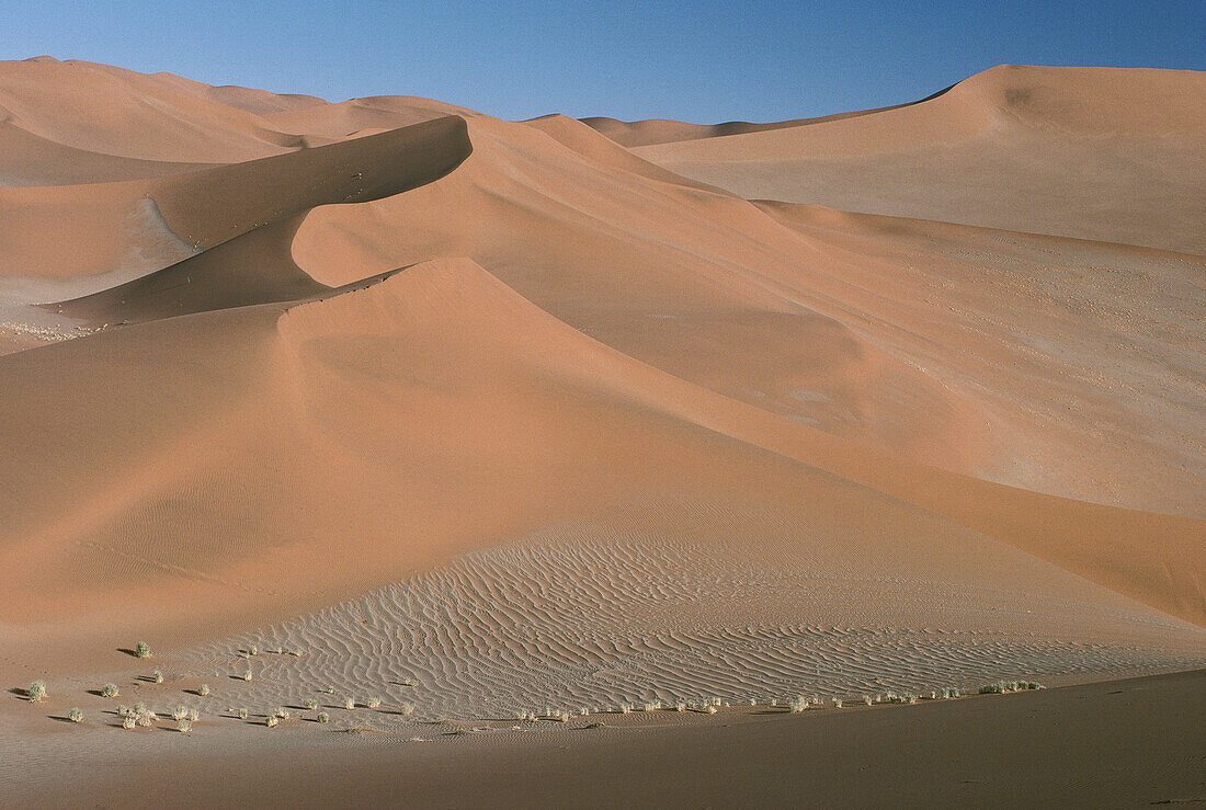 Wüste, Sossusvlei, Namibia