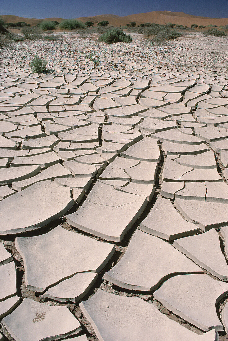 Dry Mud Patterns in Desert, Sossusvlei, Namibia