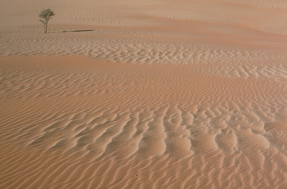 Baum und Muster im Wüstensand, Namibia