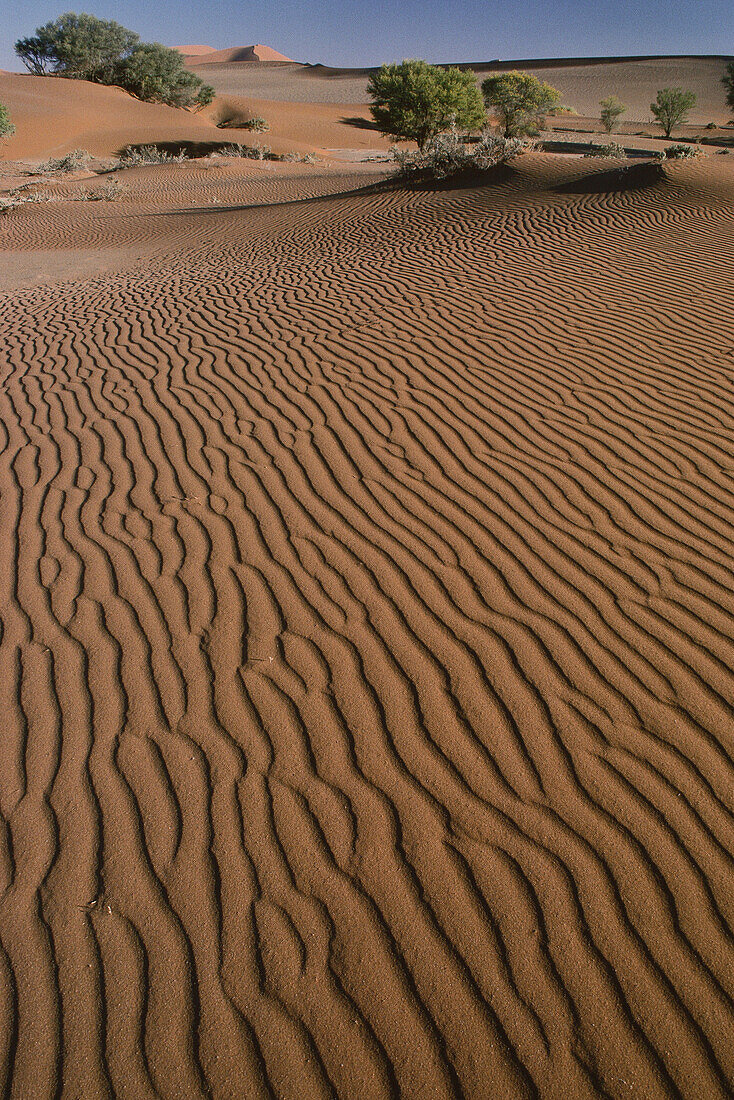 Muster im Wüstensand, Namibia