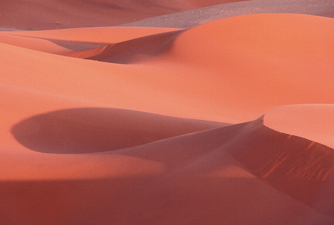 Desert, Sossusvlei, Namibia