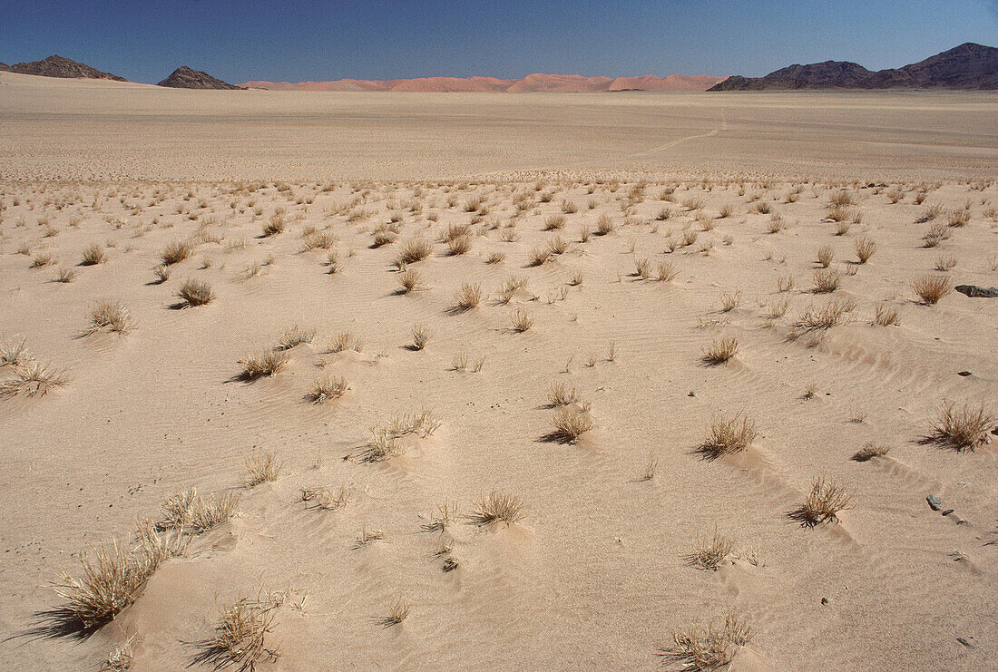 Desert, Sesriem, Namibia