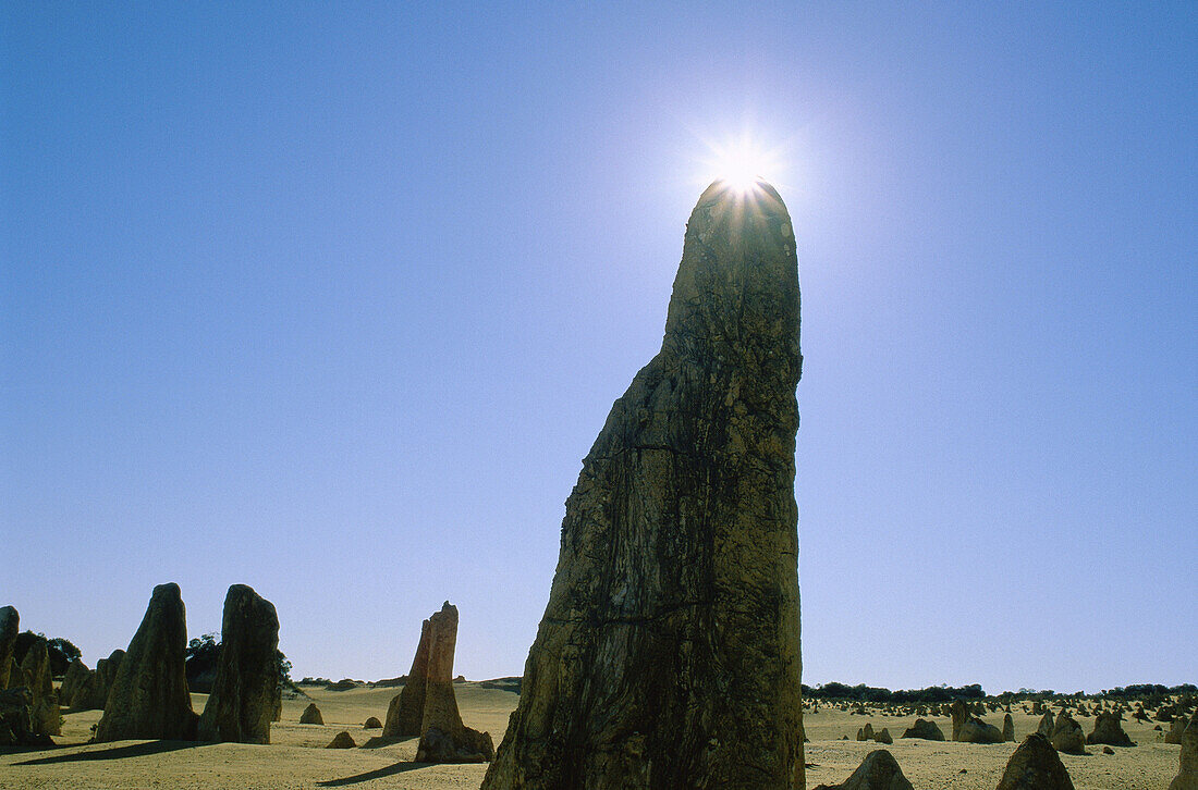 Rock Formation, The Pinnacles, Western Australia