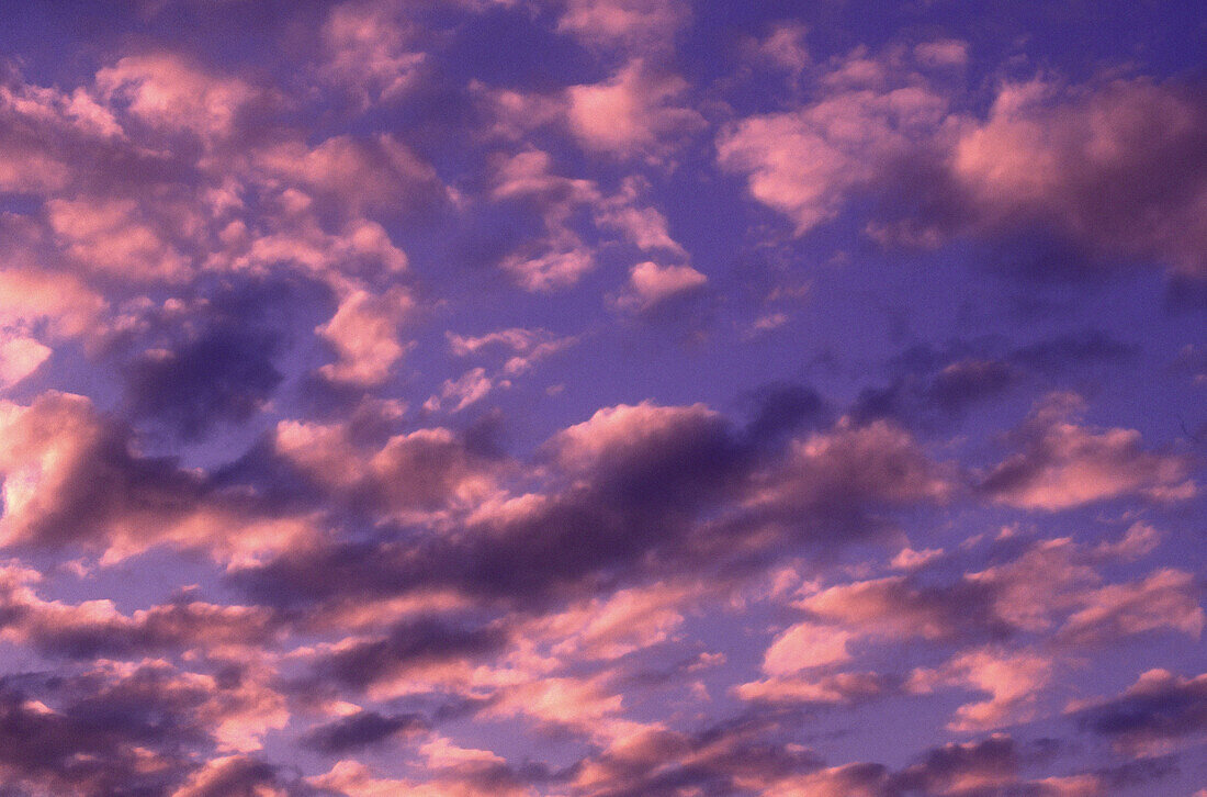 Clouds at Sunset