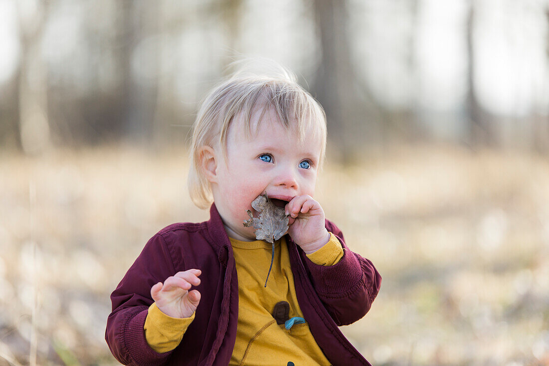 Kleinkind hält gefallenes Blatt im Mund