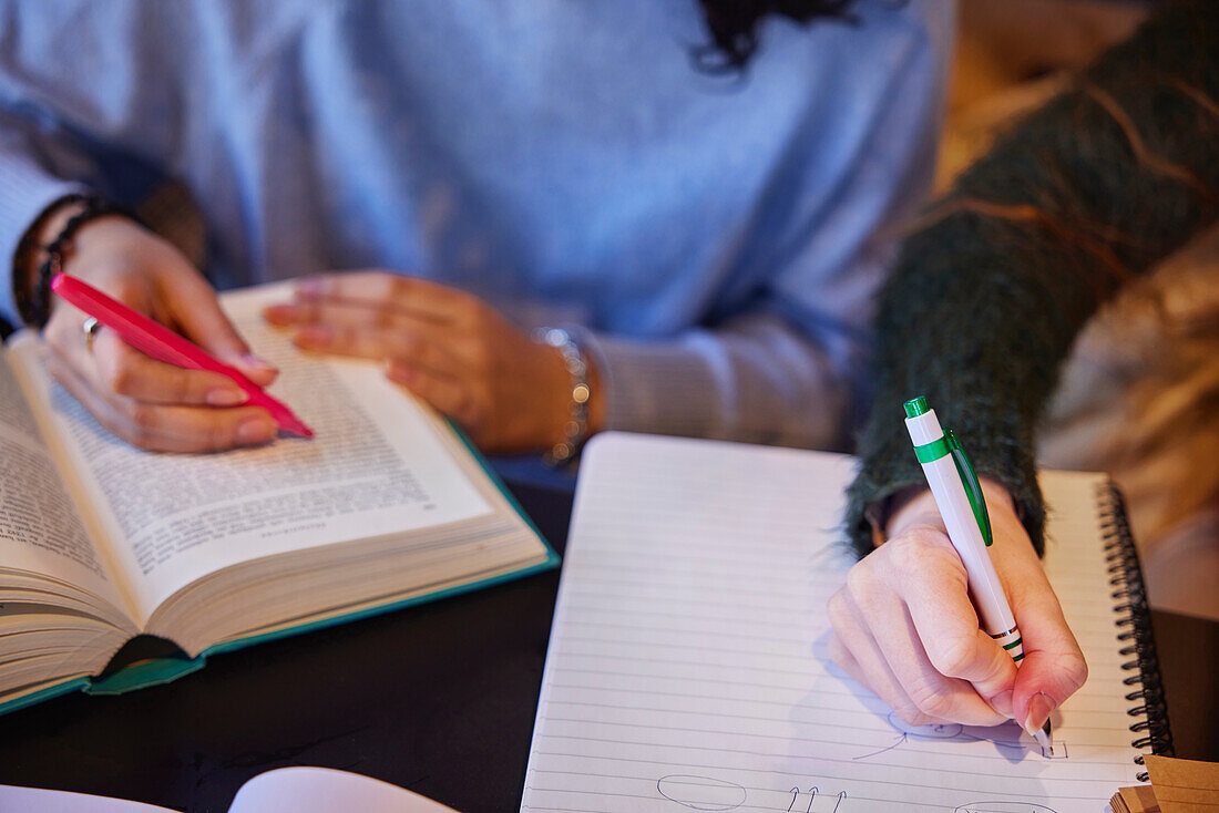 Young women making highlights and notes while studying