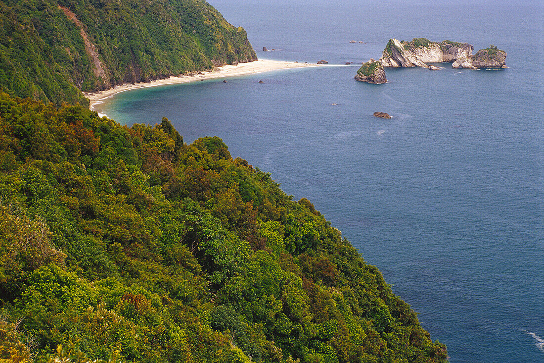 Coast Near Knight's Point, South Island, New Zealand