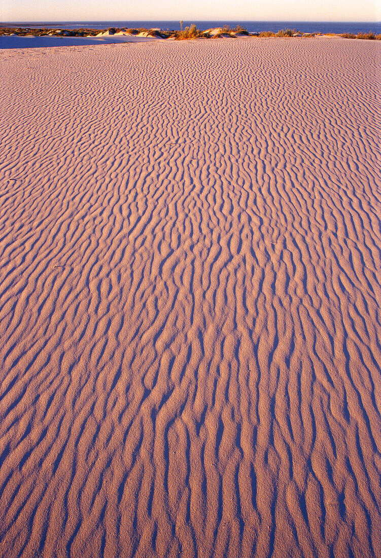 Overview of Desert, Northern Cape, South Africa