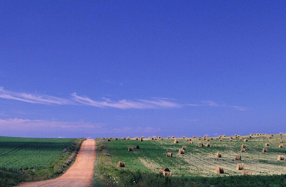 Hay Bales, Hampton, Prince Edward Island, Canada