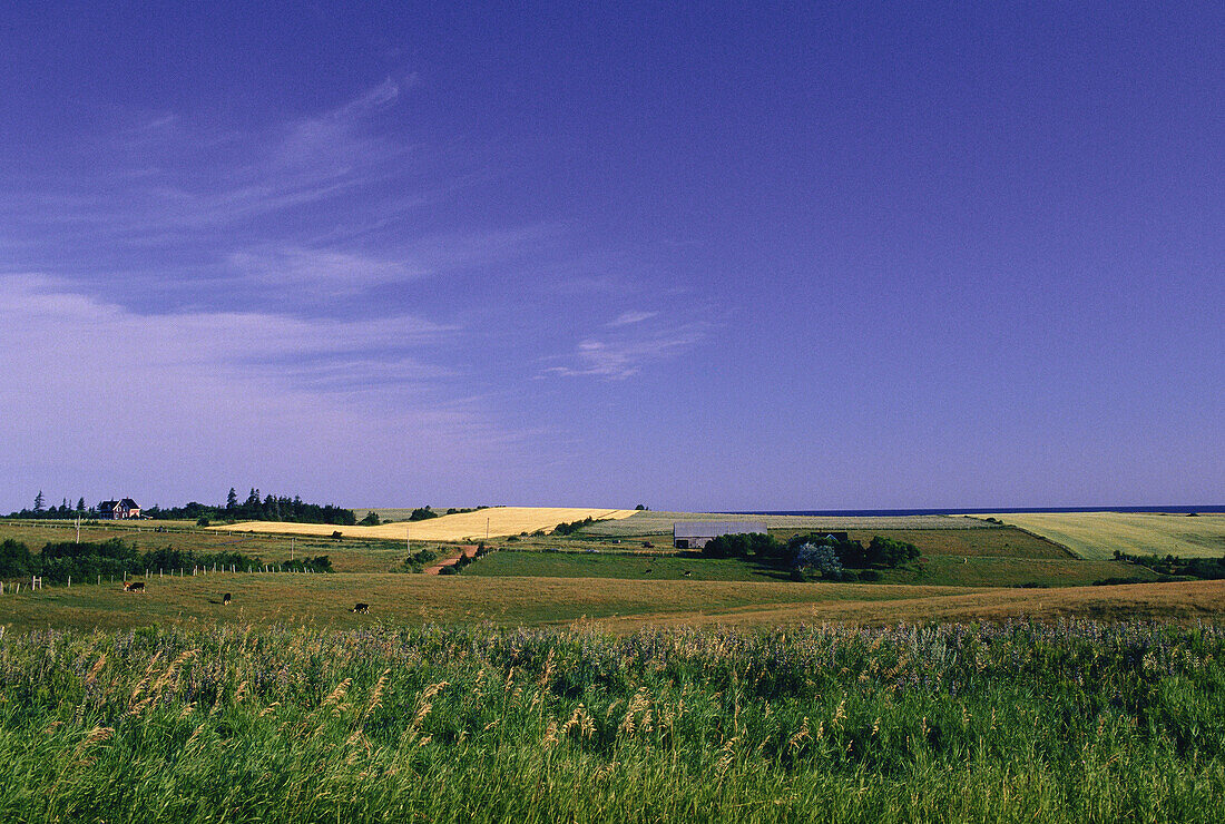 Ackerland, Prinz-Edward-Insel, Kanada