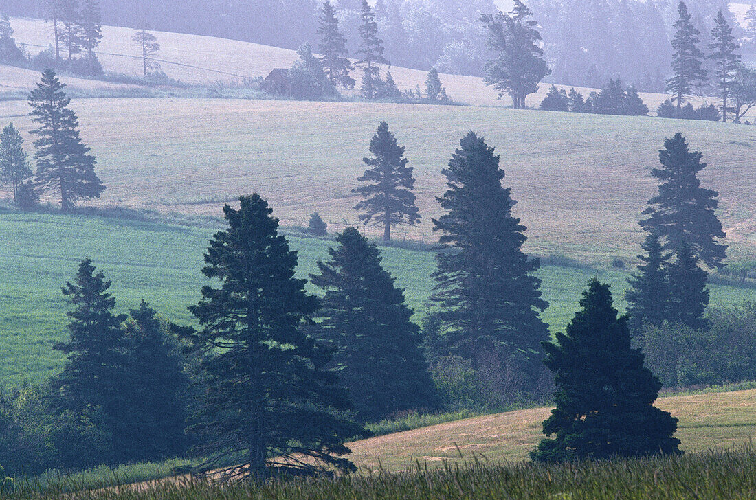 Field near Hunter River, Prince Edward Island, Canada