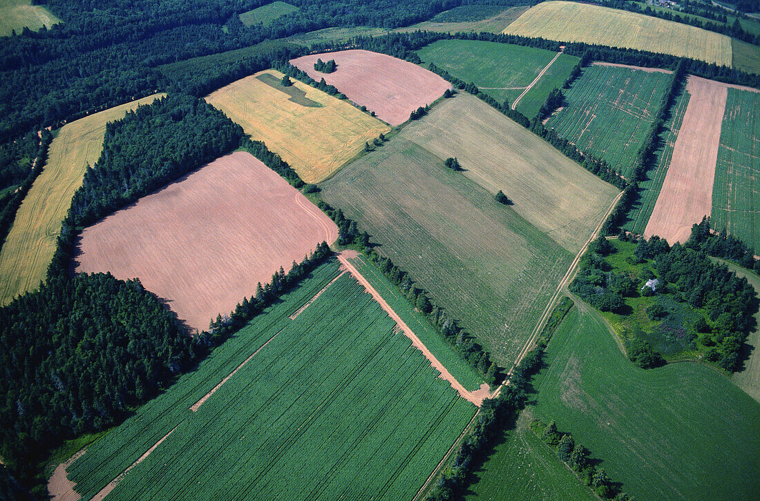 Luftaufnahme von landwirtschaftlichen Feldern, Mayfield, Prince Edward Island, Kanada