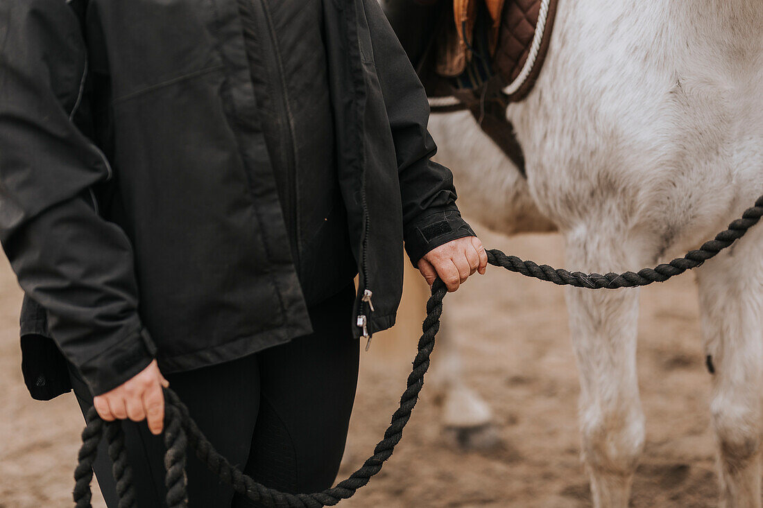 Mid section of woman leading horse on paddock