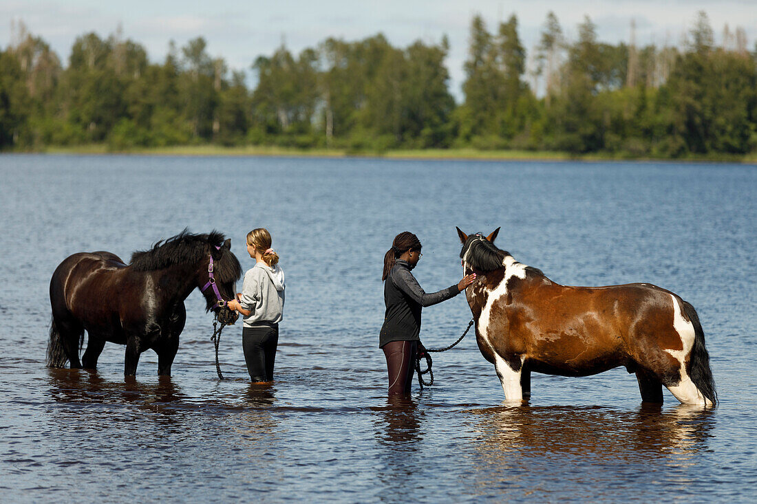 Girls with horses standing in river