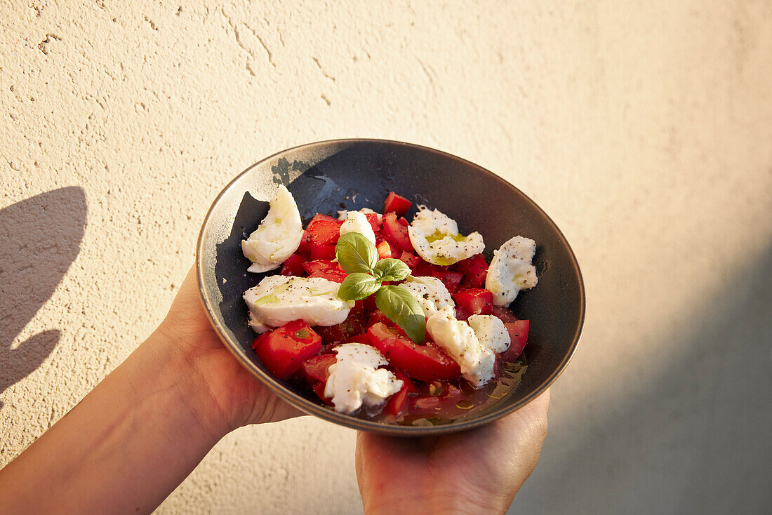 Hands holding bowl with tomatoes and mozzarella