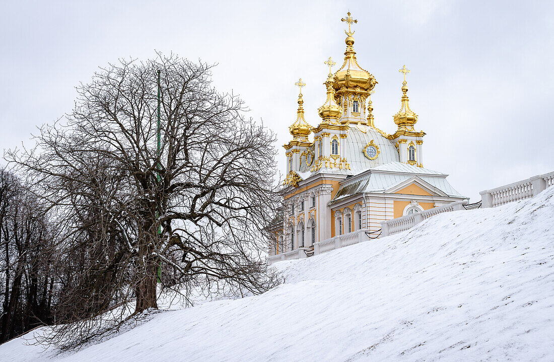 Peterhof palace, The gilded domes of the court church of the Holy Apostles Peter and Paul, built by order of Empress Elizabeth Petrovna in 1751, snow on the ground. 