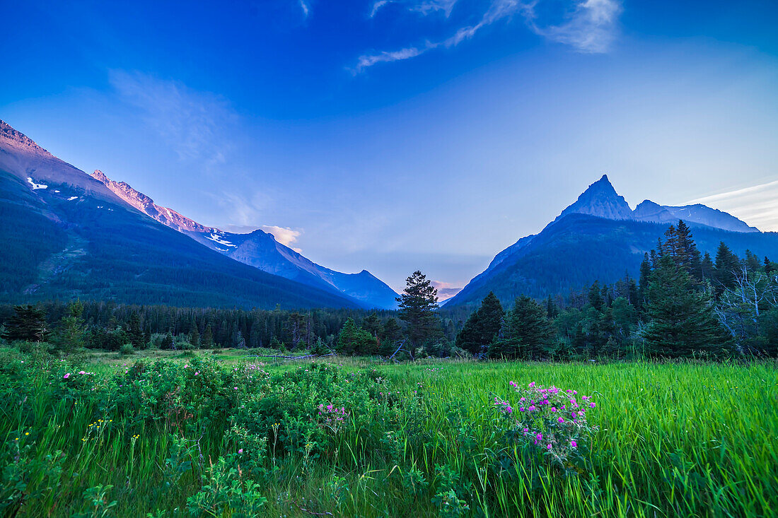 Twilight at Red Rock Canyon area in Waterton Lakes National Park, Alberta, July 17, 2014. Mt. Blakiston is to the right, named for the first scientific explorer, Thomas Blakiston, to travel and map this area as part of the Palliser Expedition, 1858-59. The foreground has wild roses, the emblem of Alberta. This is a single frame from a time-lapse movie, taken with the Canon 5D MkII and 14mm Rokinon lens.