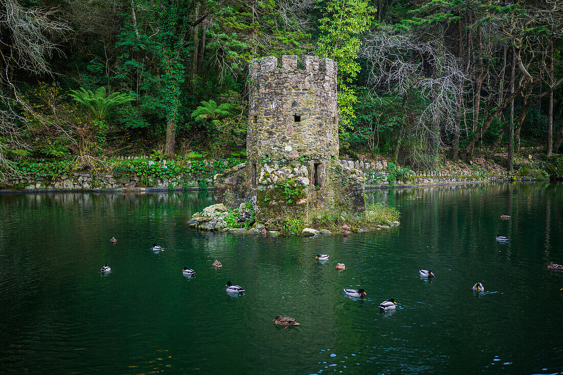 Tal der Seen und kleiner Vogelbrunnen im Park und Nationalpalast von Pena (Palacio de la Pena), Sintra, Portugal
