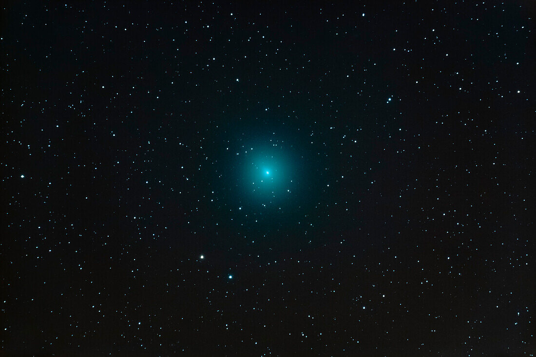 Comet Wirtanen (aka 46P) as it appeared in my sky on November 28, 2018 with it still only 17° above my southern horizon, so partly in haze. The comet was obvious in big 10x70mm binoculars as a large diffuse glow. Wirtanen was moving north and had just entered my western Canadian sky the week I took this.