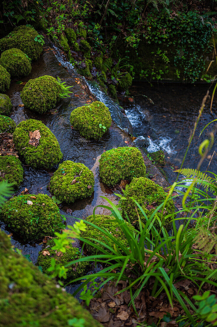 Valley of Lakes and Little Birds Fountain at Park and National Palace of Pena (Palacio de la Pena), Sintra, Portugal