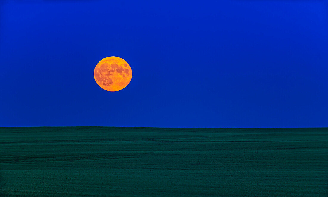 The rising of the almost exactly Full Moon on July 16, 2019, the 50th Anniversary of the launch of Apollo 11. The scene is looking over a green field of wheat for a minimalist landscape.