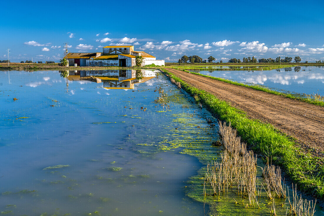 Scheune spiegelt sich in einem Reisfeld, Isla Mayor, Sevilla, Spanien.