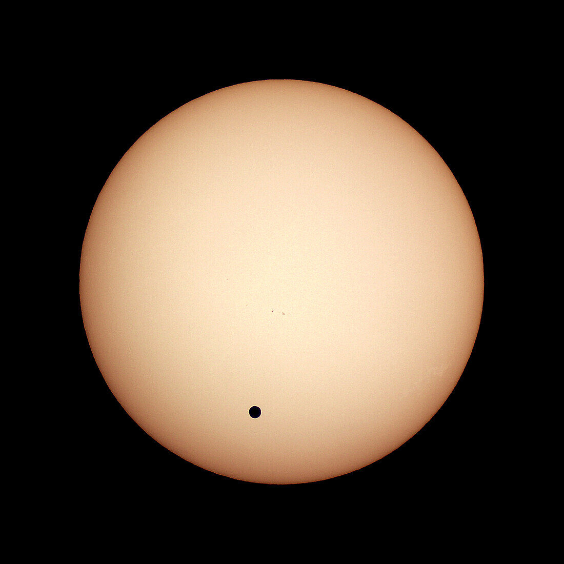 Transit of Venus, June 8, 2004, from Luxor, Egypt. A single image taken near mid-transit. Taken with a Sony DSC-V1 digital camera shooting afocally through a 40mm eyepiece and on a 90mm apochromatic refractor, equatorially mounted and driven. Shot thru a Baader solar filter, which gives a white Sun. Yellow coloration added in Photoshop.
