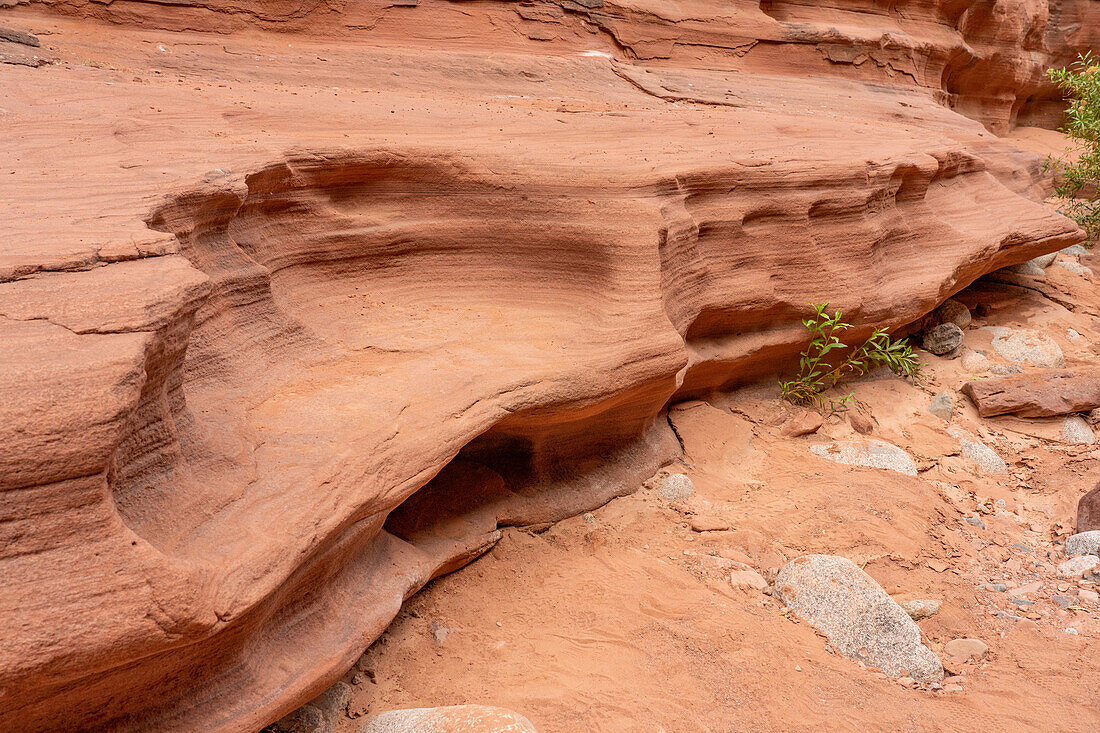 Eroded sandstone layers in Shimpa Canyon in Talampaya National Park, La Rioja Province, Argentina.