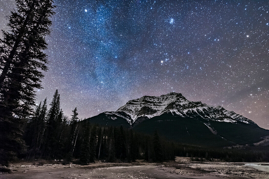 The stars of Taurus, including the Pleiades, rising above Mount Kerkeslin, with Capella and Auriga at top left. Castor and Pollux in Gemini are among the trees at lower left. The winter Milky Way runs from Capella down to Gemini.