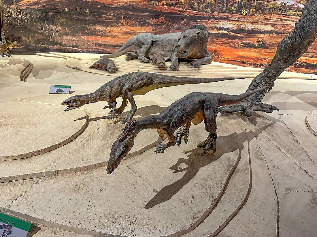 Ein Diorama mit Dinosauriern aus der Triaszeit im Museum des Ischigualasto Provincial Park in Argentinien.