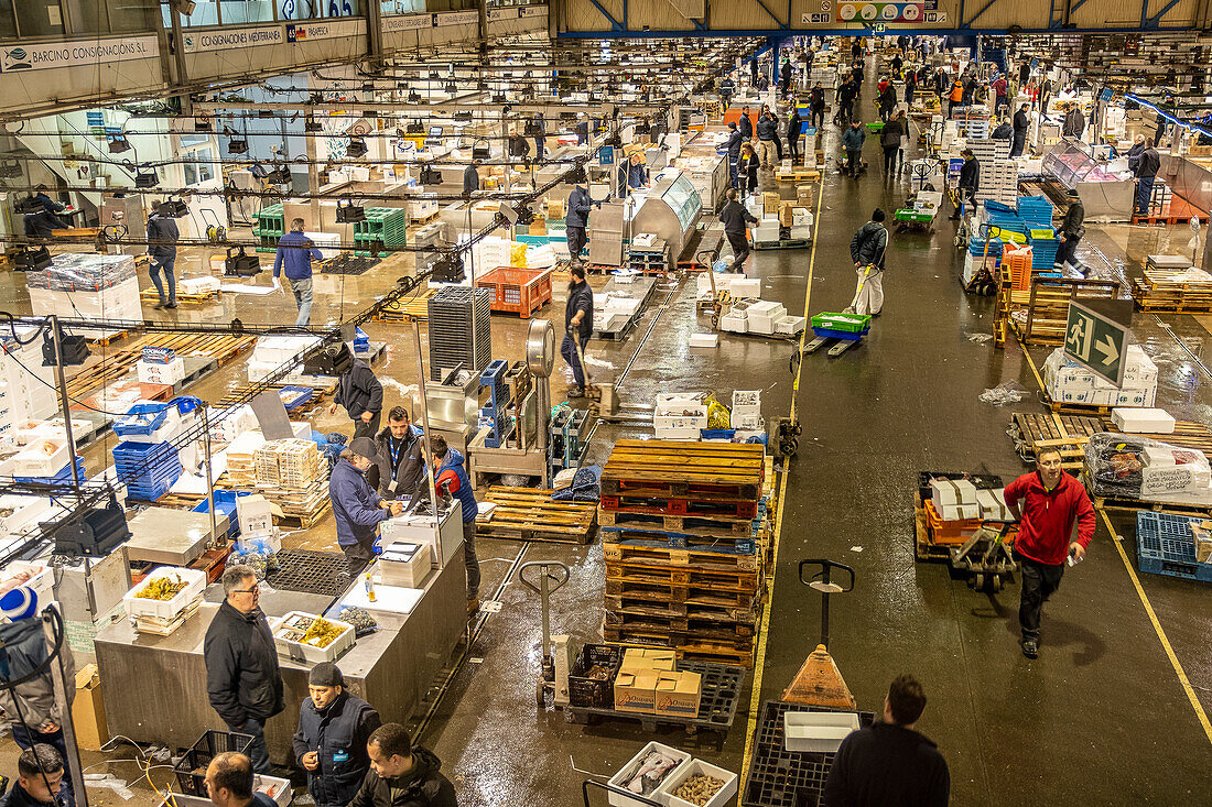 Fish and seafood section, in Mercabarna. Barcelona´s Central Markets. Barcelona. Spain