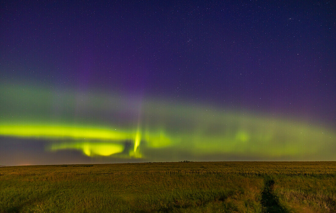 A display of a Kp-5 aurora near its peak of activity on August 7, 2022, taken from home in southern Alberta, over the wheatfield next to my acreage. STEVE appeared later this night.
