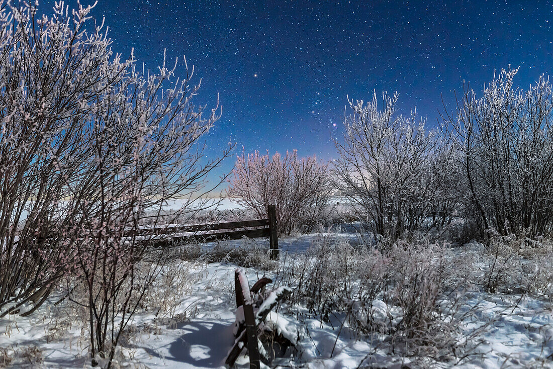 Orion geht im Mondlicht über einem alten Zaun und landwirtschaftlichen Geräten bei meinem Haus in Süd-Alberta auf, in einer sehr kalten und frostigen -20° C Nacht am 3. Januar 2017. Die Beleuchtung stammt von der zunehmenden Mondsichel.