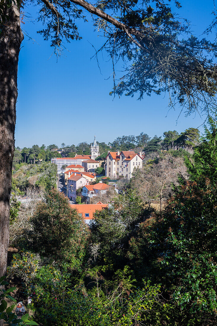 Blick auf die Skyline von Sintra inmitten der Vegetation, Portugal