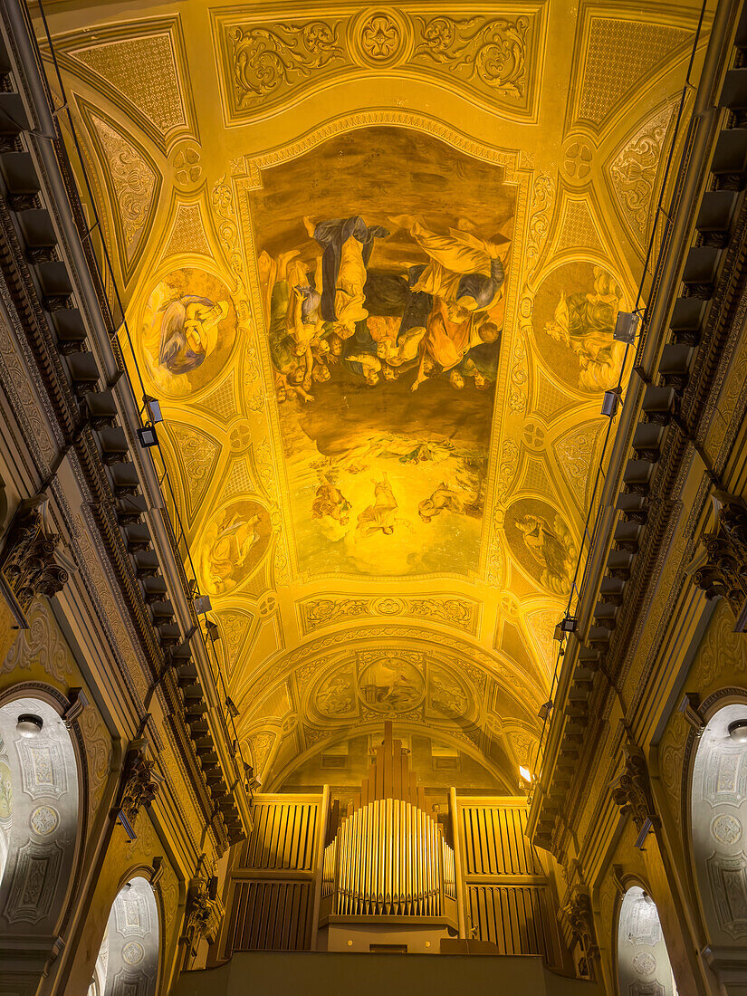 Die Pfeifenorgel und die bemalte Decke des Kirchenschiffs der kunstvollen Kathedrale der Unbefleckten Empfängnis in San Luis, Argentinien.